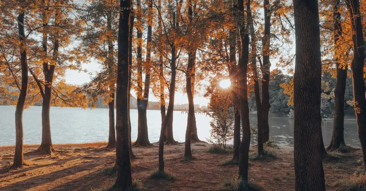 Les Astuces Anti Stress à Adopter en Moments de Crise