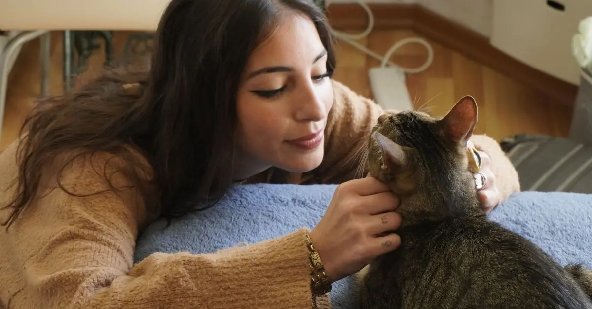 5 Astuces Anti Stress Avec Votre Animal de Compagnie