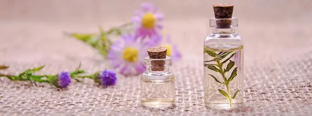 Les 5 Méthodes Efficaces Pour Éliminer le Stress Naturellement