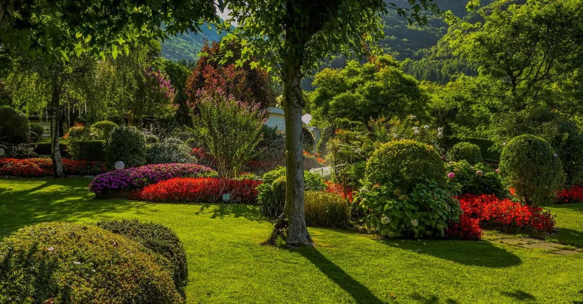 Les Bienfaits du Jardinage comme Anti Stress Naturel