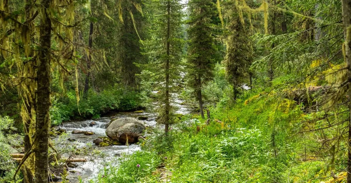 Comment tirer parti de la nature pour réduire le stress