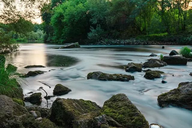 Comment utiliser la nature pour réduire votre stress quotidien