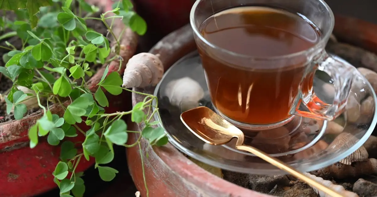 Les Meilleures Infusions Anti Stress à Découvrir