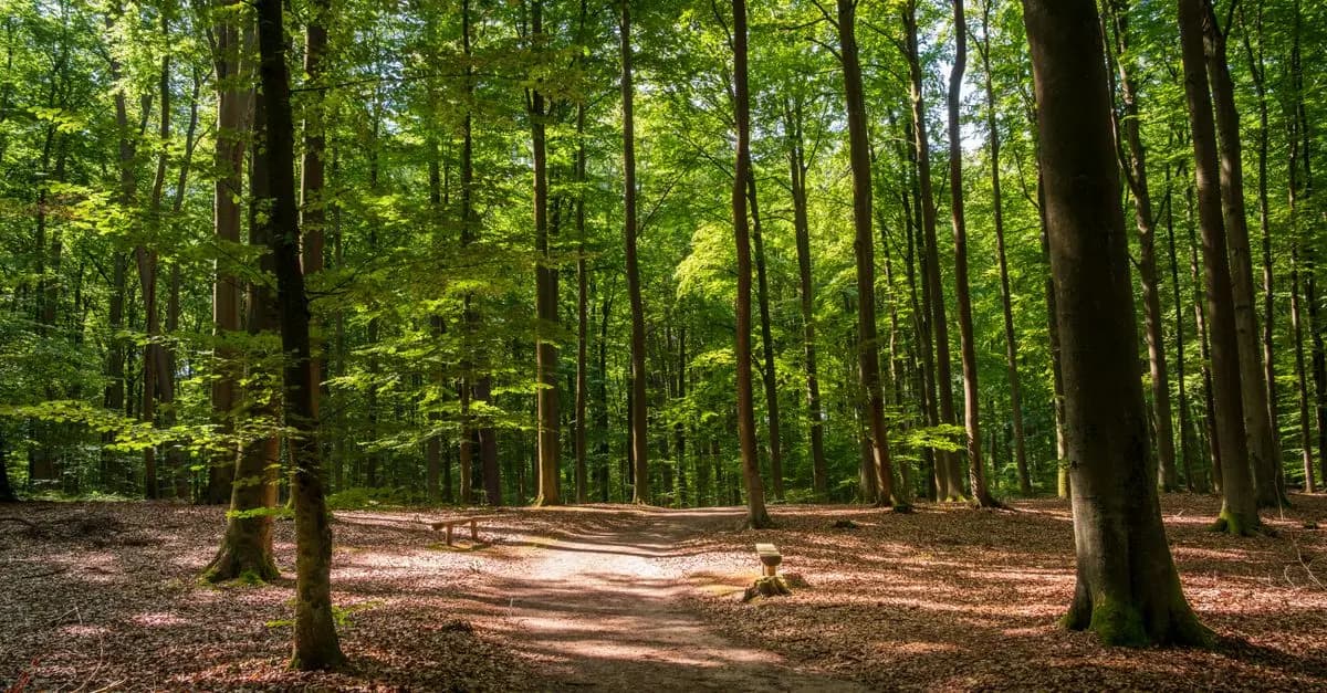 7 Astuces Anti Stress à Essayer Pour Équilibrer Vos Émotions