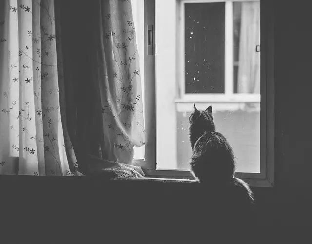 10 Astuces Pour Réduire le Stress au Quotidien