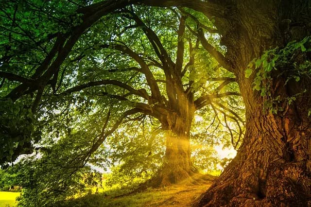 5 Astuces Anti Stress Pour Améliorer Votre Bien-être Mental