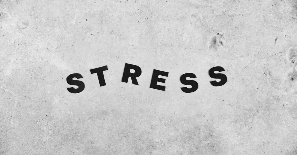 5 Méthodes Naturelles Pour Combattre le Stress au Quotidien