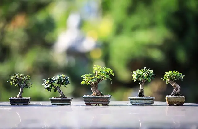 5 Activités Relaxantes à Pratiquer Pour Évacuer le Stress
