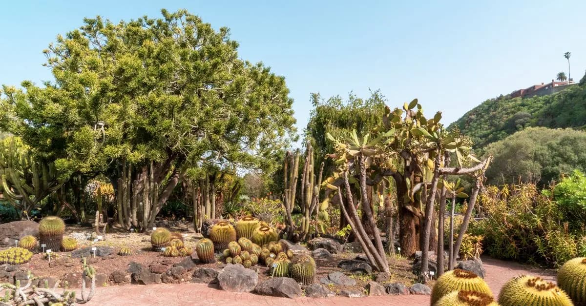 Jardinage : Un Anti Stress Naturel et Efficace