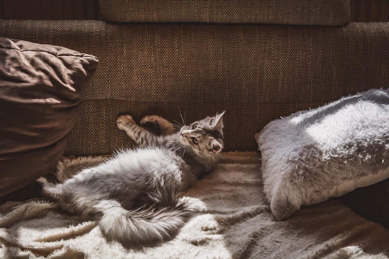 5 Astuces Anti Stress Pour Créer un Espace de Détente à la Maison