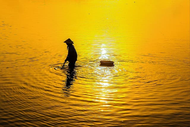5 Techniques de Relaxation à Découvrir pour Éliminer le Stress