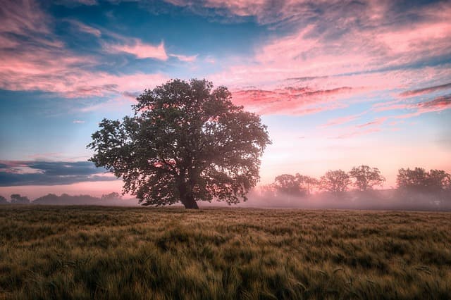 5 Astuces Anti Stress à Essayer pour Équilibrer Vos Émotions