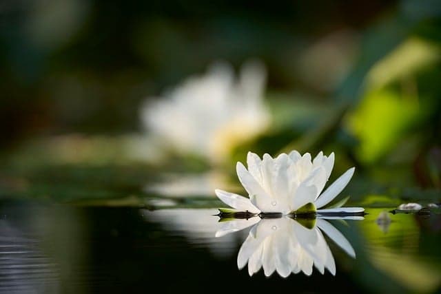 5 Astuces Anti Stress à Tester pour Équilibrer Vos Émotions