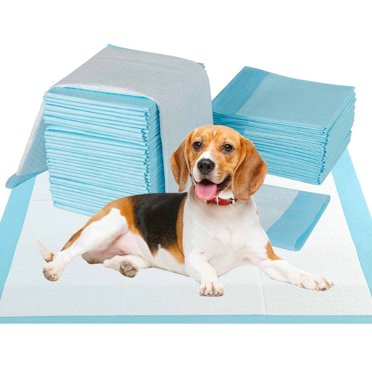 CostwayTapis d'Apprentissage pour Chiens et Chiots 90 x 60 CM (300 Unités) Tapis pour Animaux de Compagnie à 6 Couches à l'Épreuve des Fuites Bleu